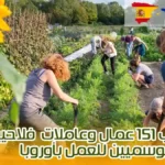 مطلوب 151 عمال وعاملات فلاحيين موسميين للعمل بأوروبا
